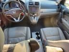 2010 Honda Cr-v exl