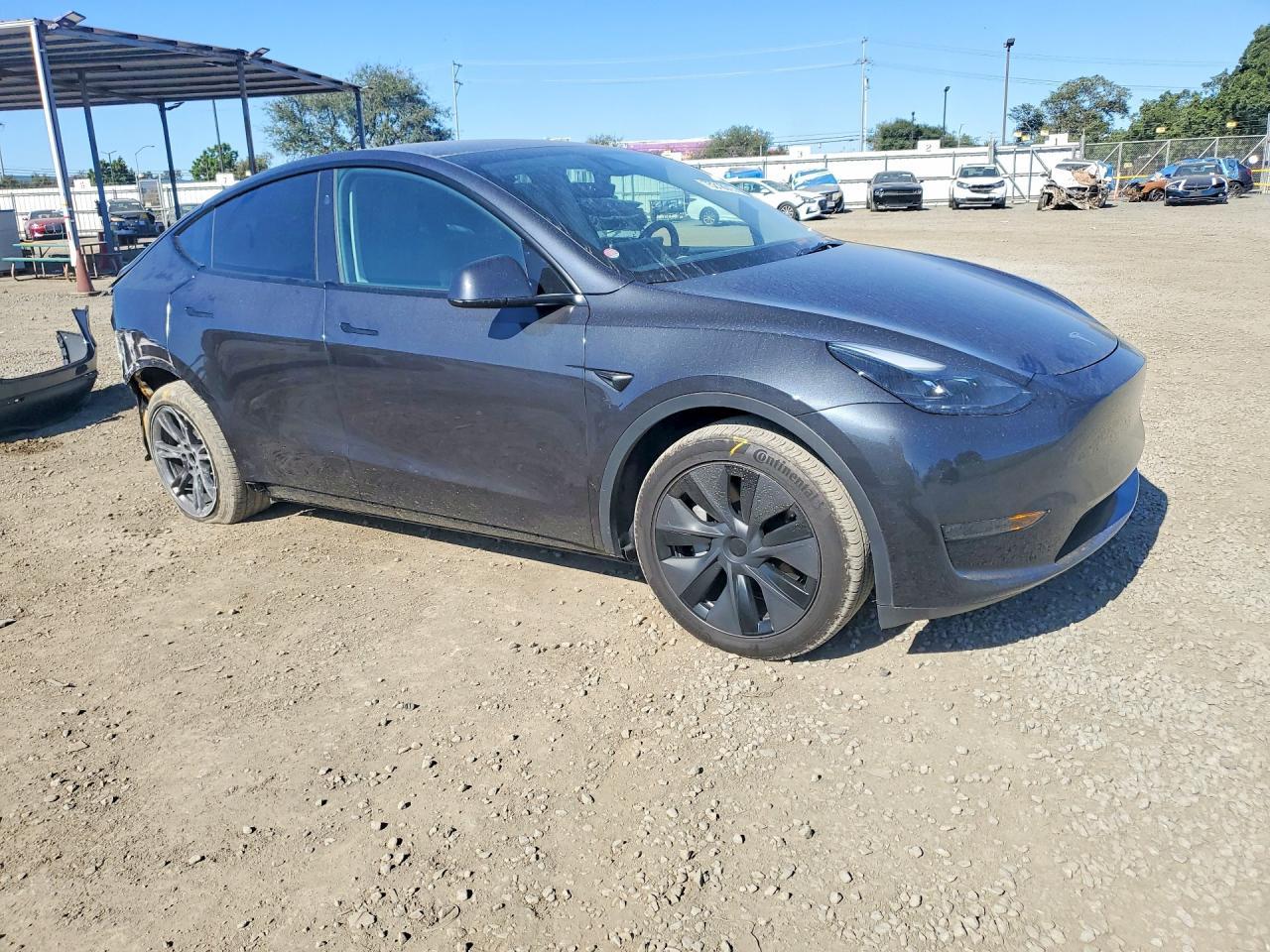 2025 Tesla Model y