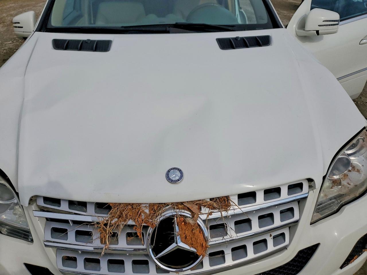 2011 Mercedes-Benz Ml 350