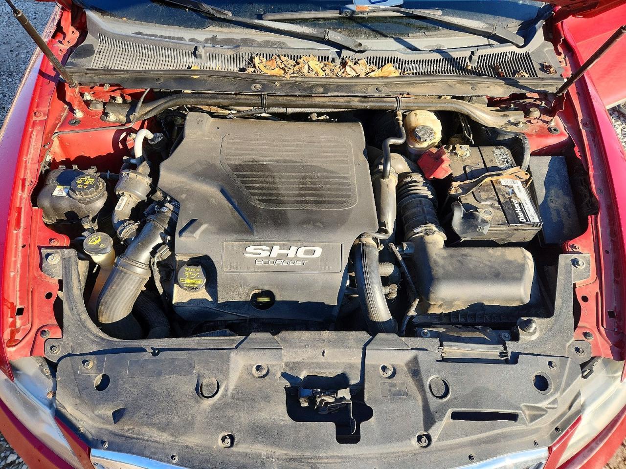 2010 Ford Taurus sho