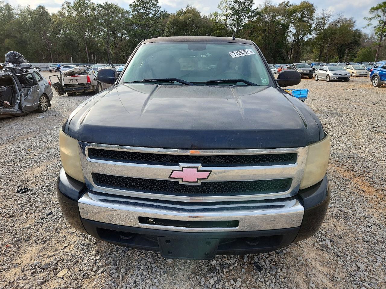 2009 Chevrolet Silverado C1500 LT