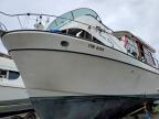 1981 Marine Trader Boat