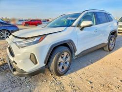 2023 Toyota Rav4 for sale in Houston, TX