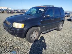 Ford salvage cars for sale: 2002 Ford Escape xlt