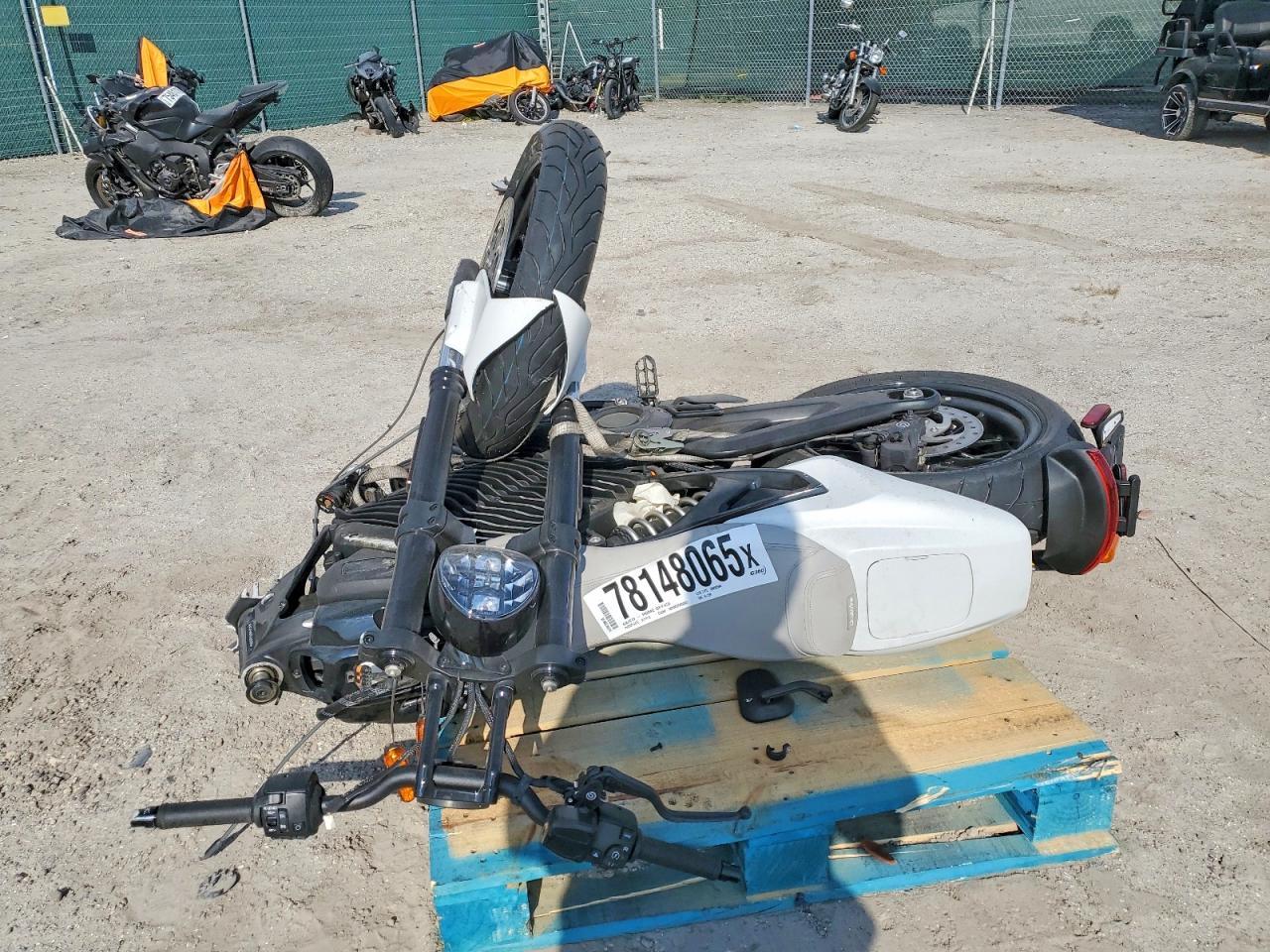 2024 Livewire S2MH
