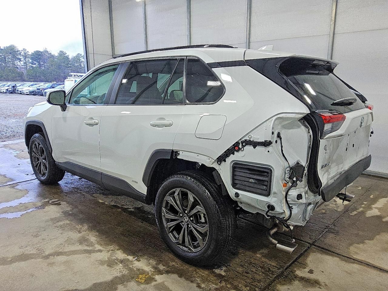 2025 Toyota Rav4 xle Premium