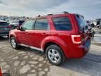 2010 Ford Escape Limited