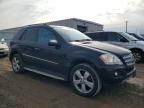 2009 Mercedes-Benz Ml 350