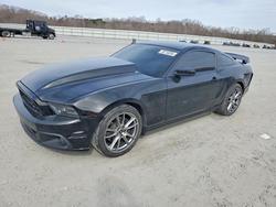 2013 Ford Mustang for sale in Gastonia, NC