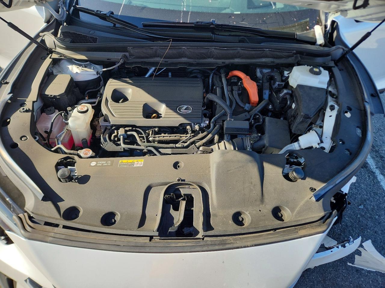 2024 Lexus Rx 350h Base