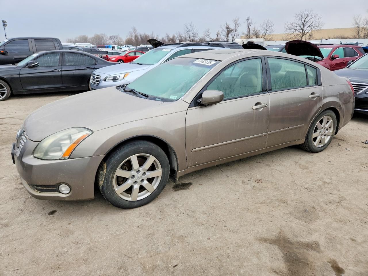 2006 Nissan Maxima se