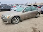 2006 Nissan Maxima se