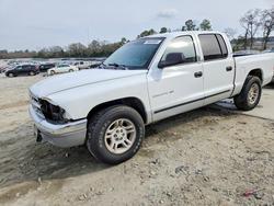 Dodge Dakota Quattro salvage cars for sale: 2001 Dodge Dakota Quattro