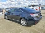 2010 Lexus Hs 250h