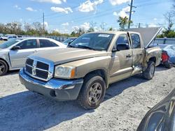 Dodge Dakota salvage cars for sale: 2005 Dodge Dakota Quad SLT