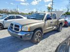 2005 Dodge Dakota Quad SLT