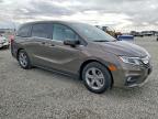 2019 Honda Odyssey exl