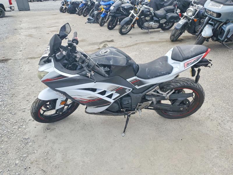 2014 Kawasaki EX300 B