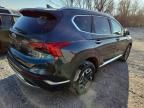 2023 Hyundai Santa fe Blue