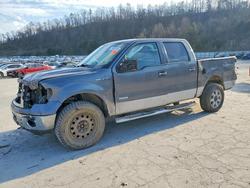 Salvage trucks for sale at Hurricane, WV auction: 2013 Ford F150 Supercrew