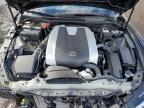 2024 Lexus Is 350