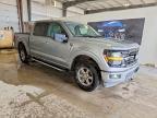 2025 Ford F150 XLT