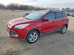 2014 Ford Escape se en venta en Conway, AR