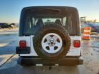 1998 Jeep Wrangler / tj Sport