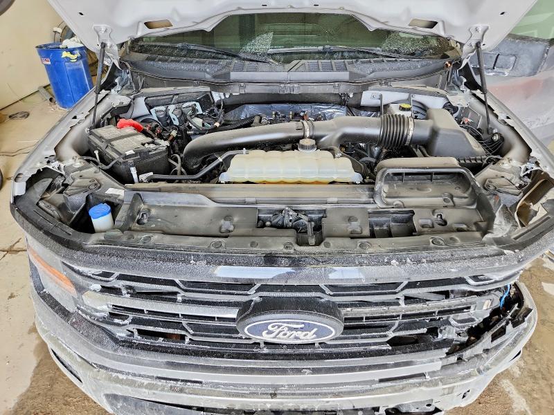 2025 Ford F150 xlt