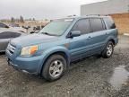 2008 Honda Pilot se