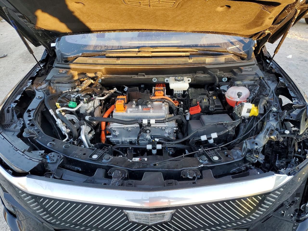 2025 Cadillac Optiq Luxury