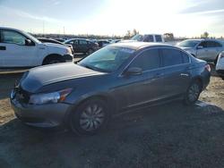 2009 Honda Accord lx en venta en Antelope, CA