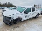 2025 Chev Colorado
