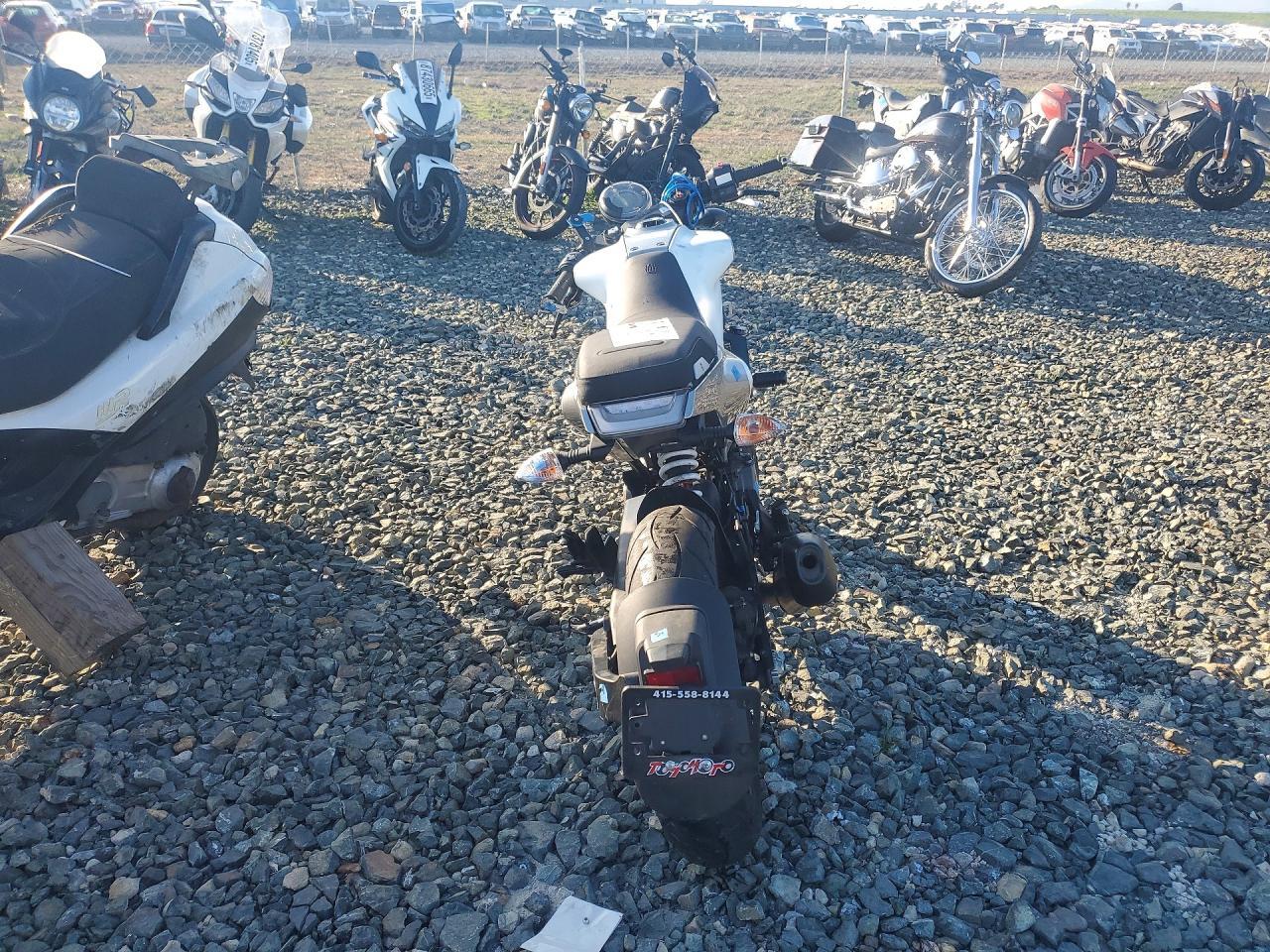 2023 Husqvarna Vitpilen 401/SVARTPILEN 401