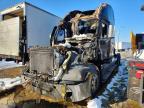 2009 Freigliner 2009 Freightliner Cascadia 1