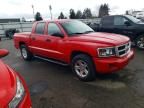 2011 Dodge Dakota slt
