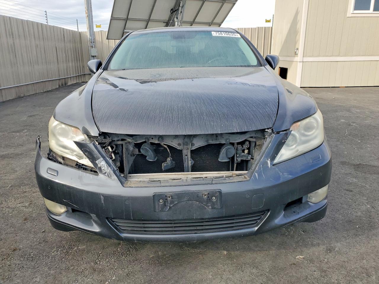 2010 Lexus Ls 460