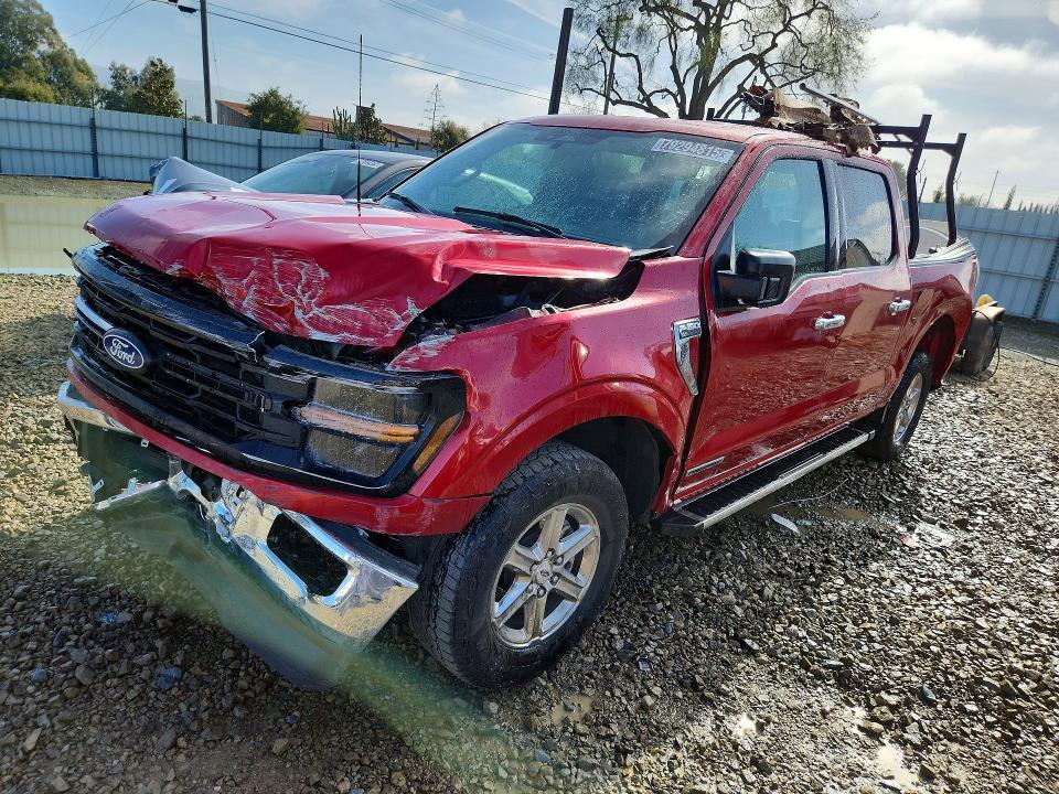 2025 Ford F150 XLT