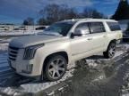 2015 Cadillac Escalade esv Luxury