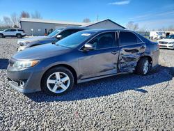 Toyt salvage cars for sale: 2014 Toyt Camry
