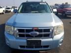 2008 Ford Escape hev