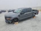 2025 Ford F150 STX