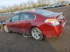 2010 Nissan Altima