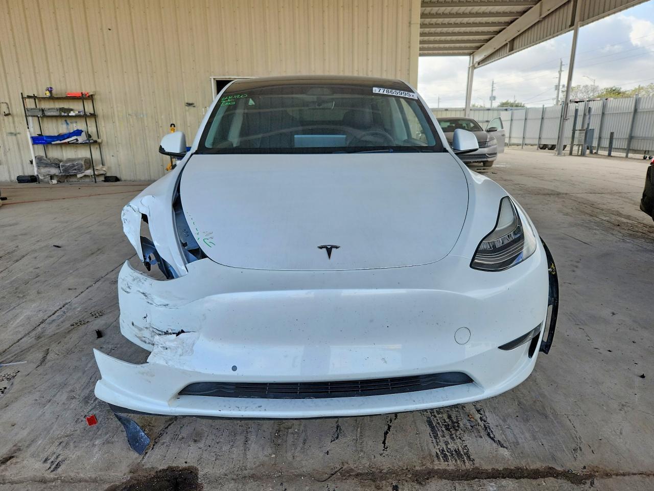 2020 Tesla Model y