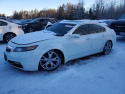 2013 Acura Tl Advance en venta en Cookstown, ON