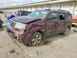 2015 Honda Pilot exl en venta en Louisville, KY