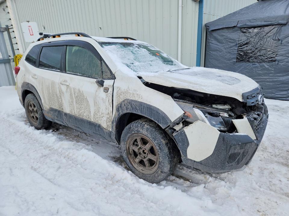 2023 Subaru Forester Wilderness