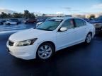 2010 Honda Accord ex