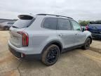 2025 KIA Telluride sx