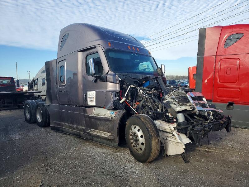 2025 Freightliner Cascadia 126 Semi Truck